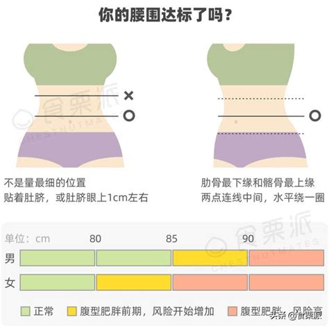 腰圍計算方式|「腰圍」正確量法？男女腰圍標準怎麼看？腰圍過大中。